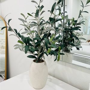 Threshold Studio Mcgee Olive Tree